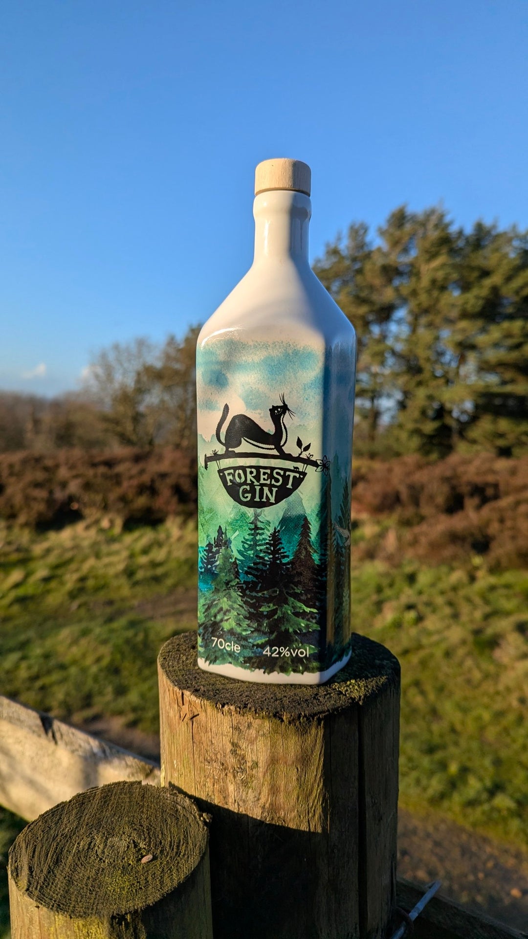 10th Anniversary Forest Gin 70cl