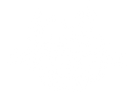 Forest Distillery
